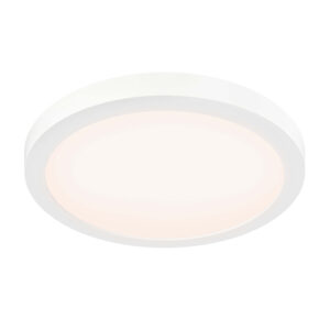 12″ round coastal-rated flush mount