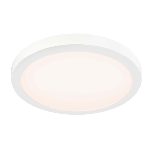 12″ round coastal-rated flush mount